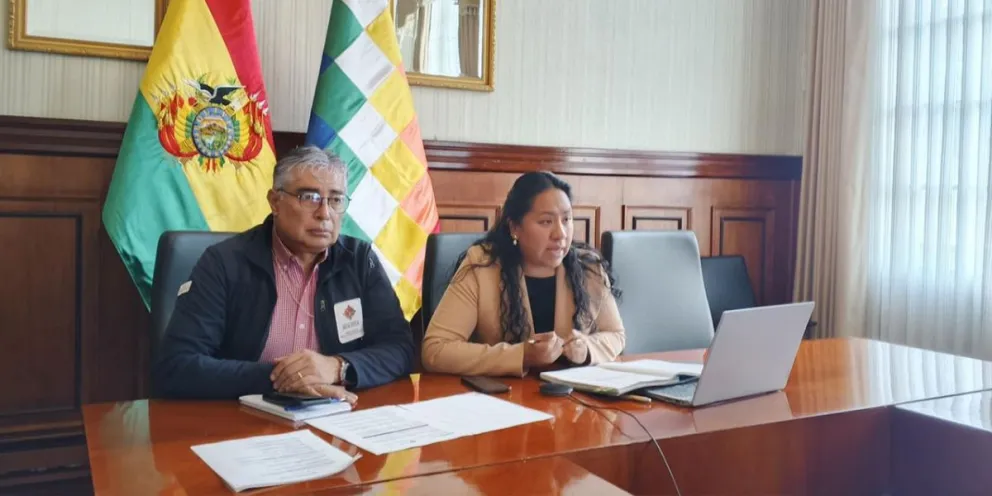 La directora de Límites y Aguas Internacionales Transfronterizas de la Cancillería de Bolivia, Marissa Castro. Foto: Cancillería