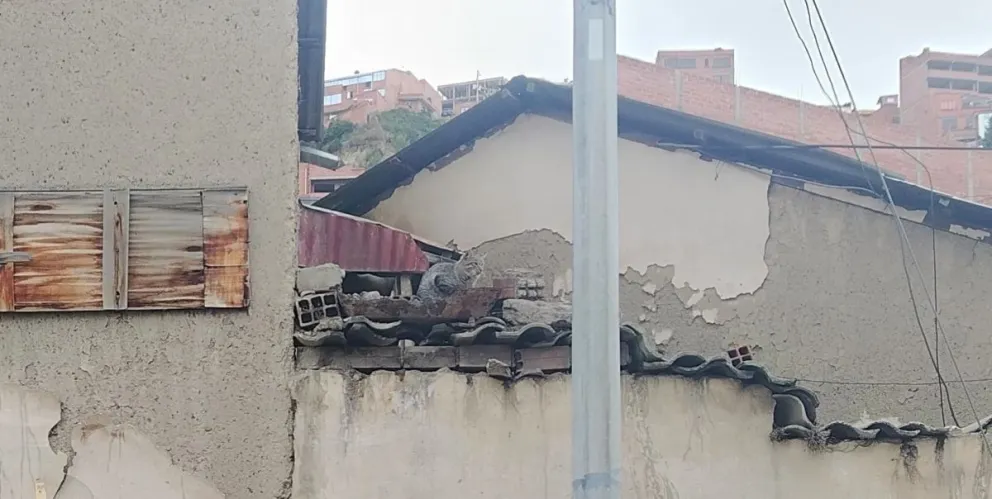 Unos de los gatitos salió y se apostó en el muro esperando ayuda. FOTO: AMUN