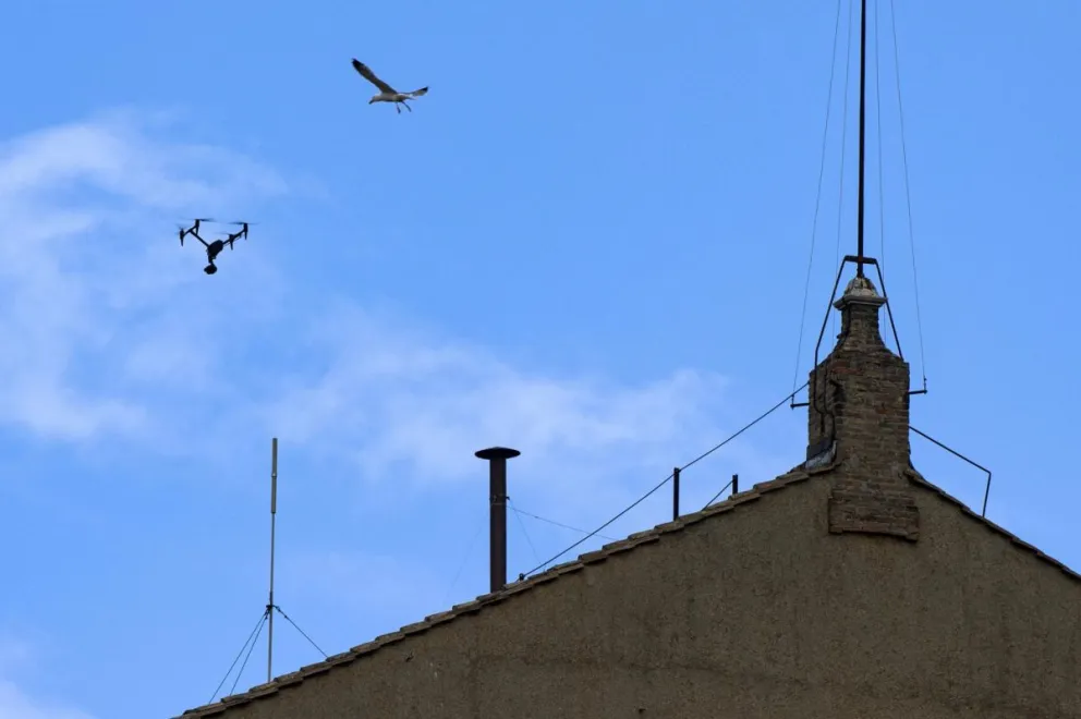 Una gaviota vuela por encima de la chimenea instalada en el techo de la Capilla Sixtina. Fotos: EFE