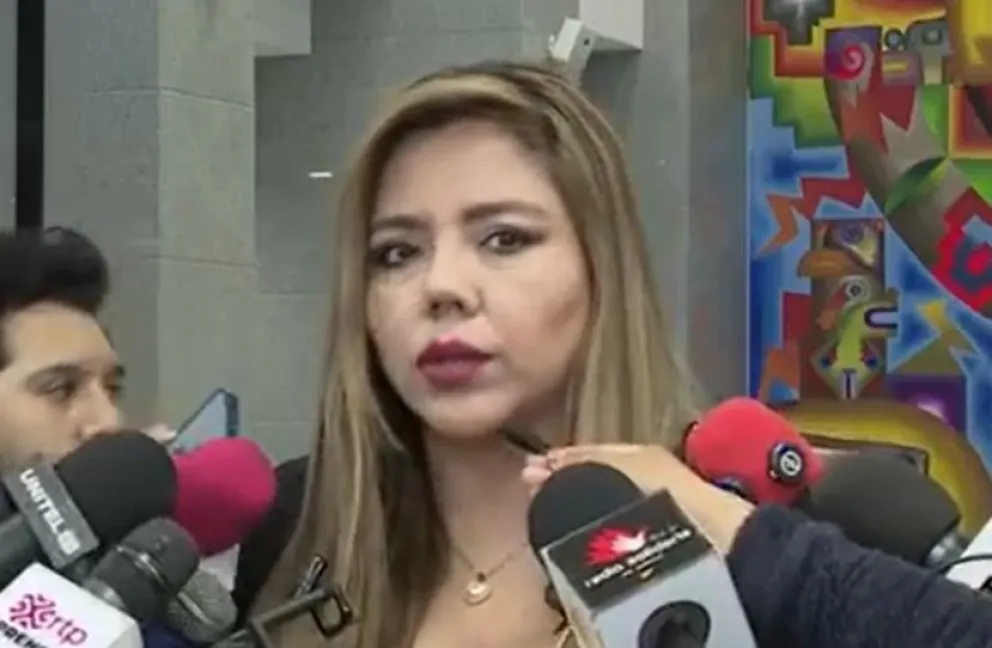 Gabriela Alcón, viceministra de Comunicación. Foto: captura Bolivia Tv
