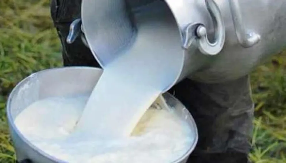 Los productores de leche ante el alza de los insumos, piden Bs 7 como pago de las industrias a su producción. Foto. ABI