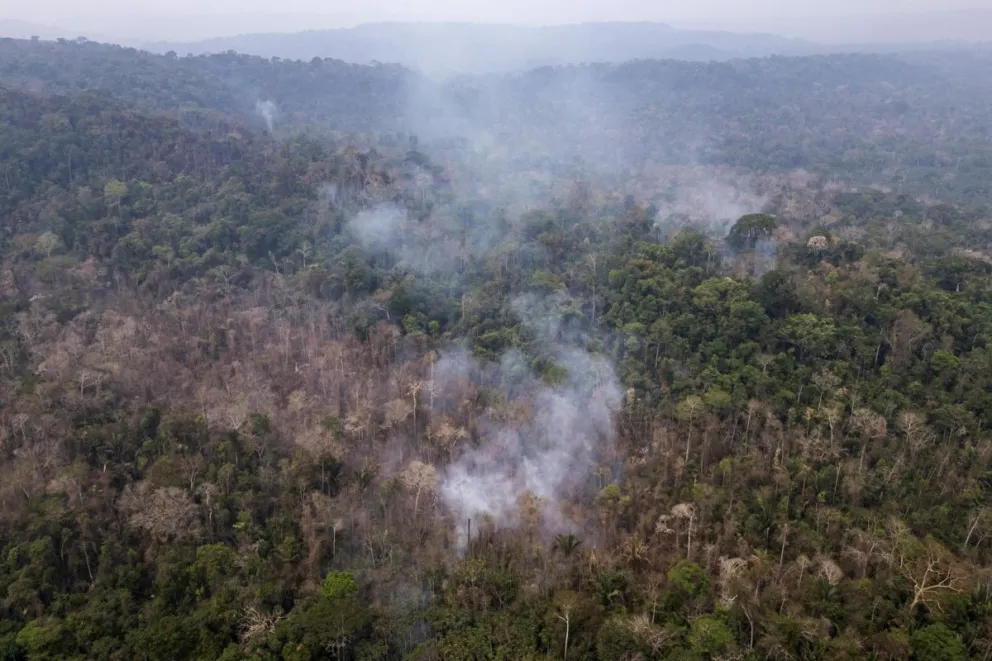 Fotografía aérea que muestra una zona quemada en el Parque Estatal Guajará-Mirím en 2024 en la ciudad de Nova Mamoré (Brasil). Foto: EFE