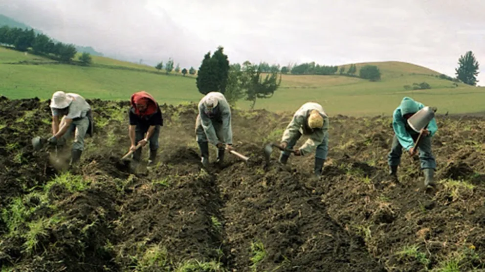 Agricultores preparando la siembra. El Gobierno realizó ajustes a las tasas de interés que rigen para el sector productivo. Foto: ABI