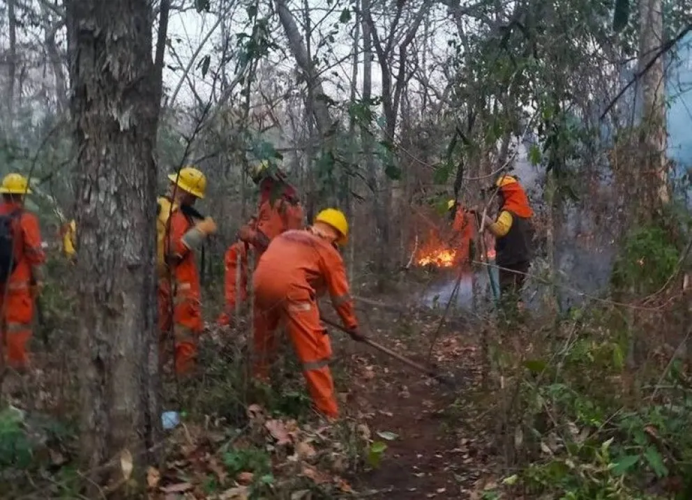 Bomberos sofocan el fuego en una zona de Santa Cruz, región más golpeada por las llamas en 2024. Foto: ABI