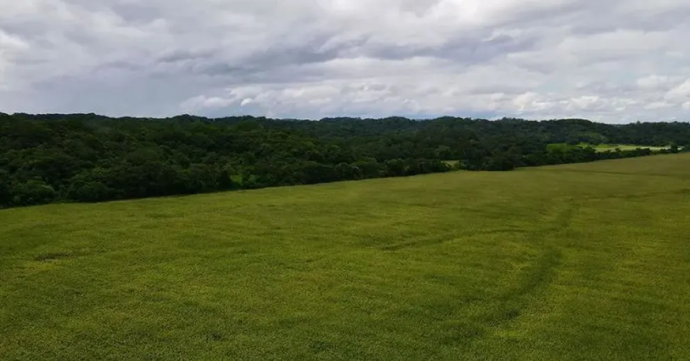 Las tierras, cuya propiedad se le atribuye a uno de los hijos del presidente Arce. Foto: Connectas