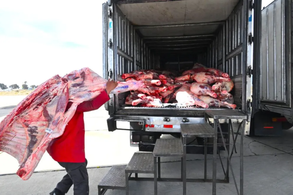 La carne de res que llegó hoy a La Paz Foto: Facebook Luis Arce