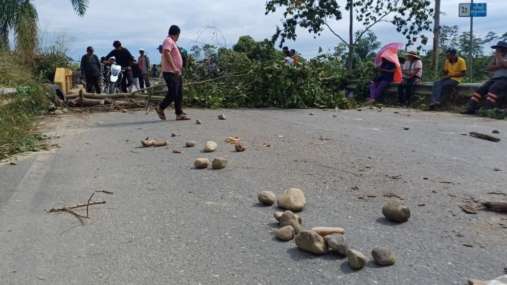 Una de las rutas bloqueadas por los seguidores de Evo Morales. Foto: Grupo Fides