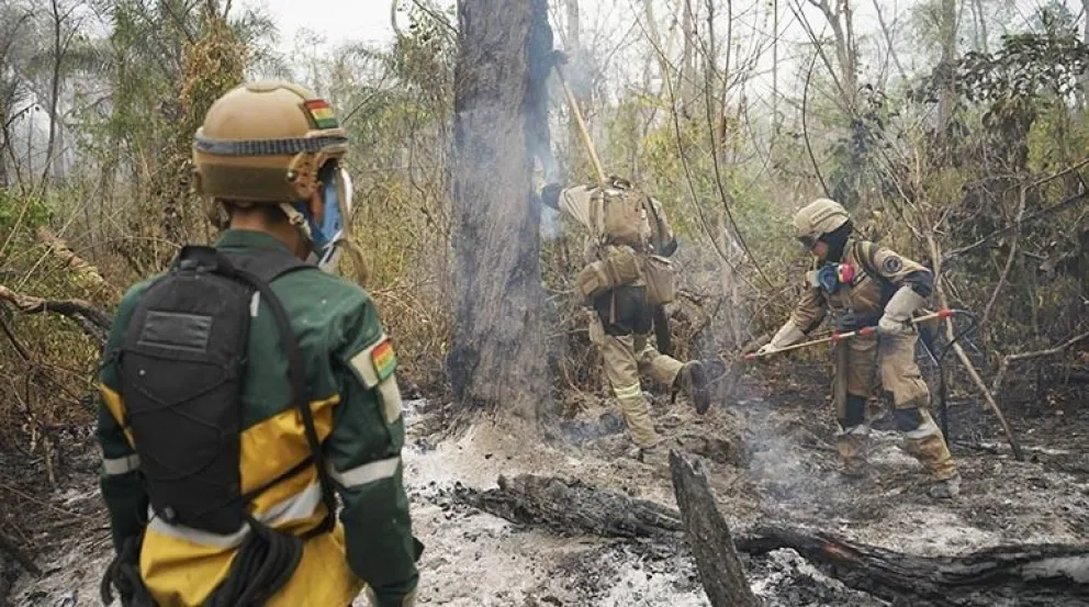 Bomberos apagan un incendio forestal en Santa Cruz. Foto: APG