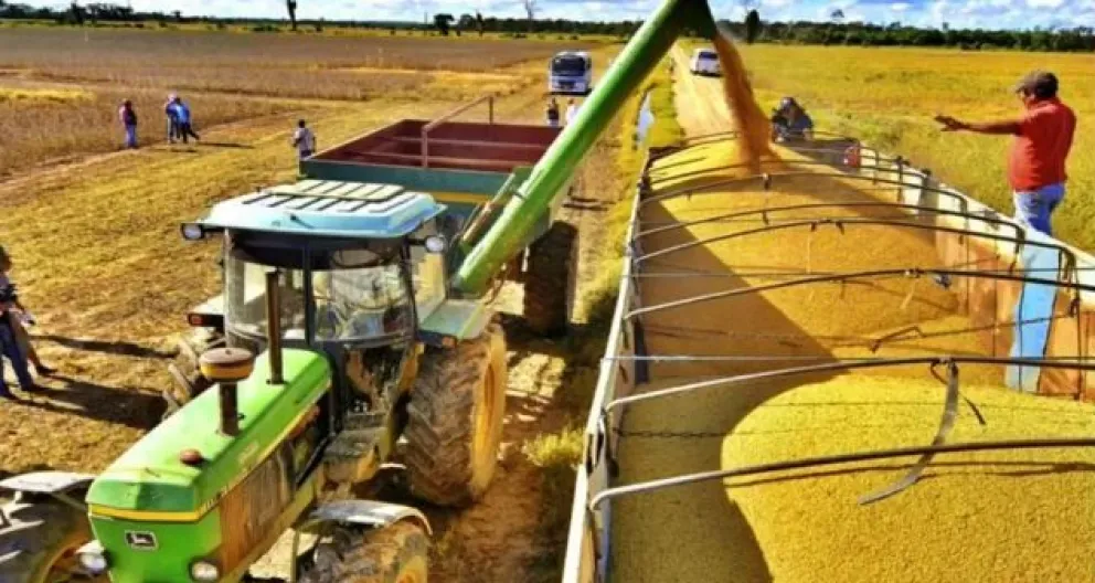 Producción y cosecha de granos en Santa Cruz. Foto: Captura de video
