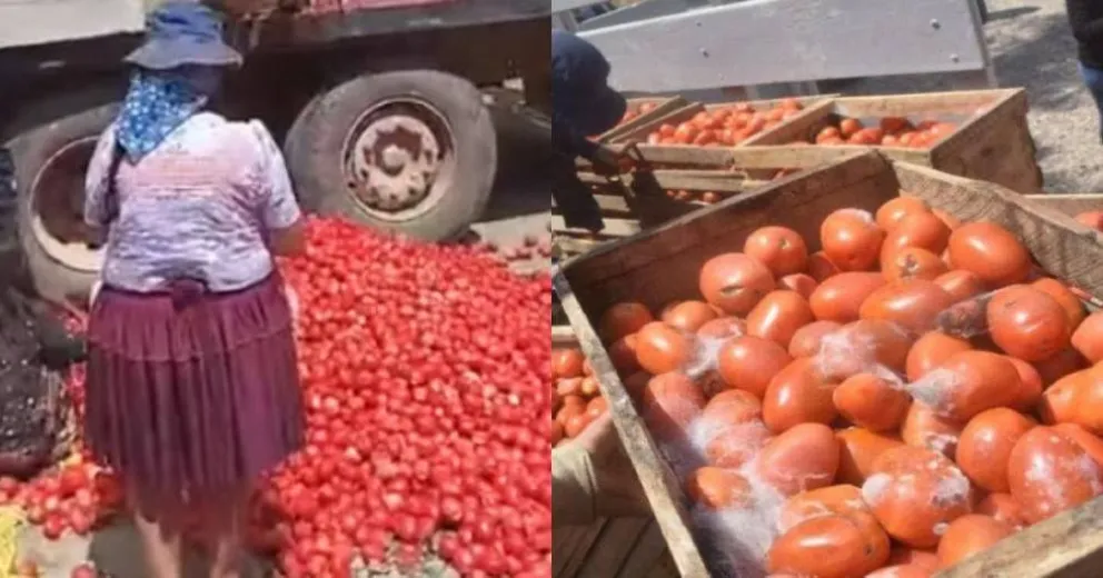 Tomates en cajas que se pudren. Foto: Tramo Sica Sica Umala (referencial)