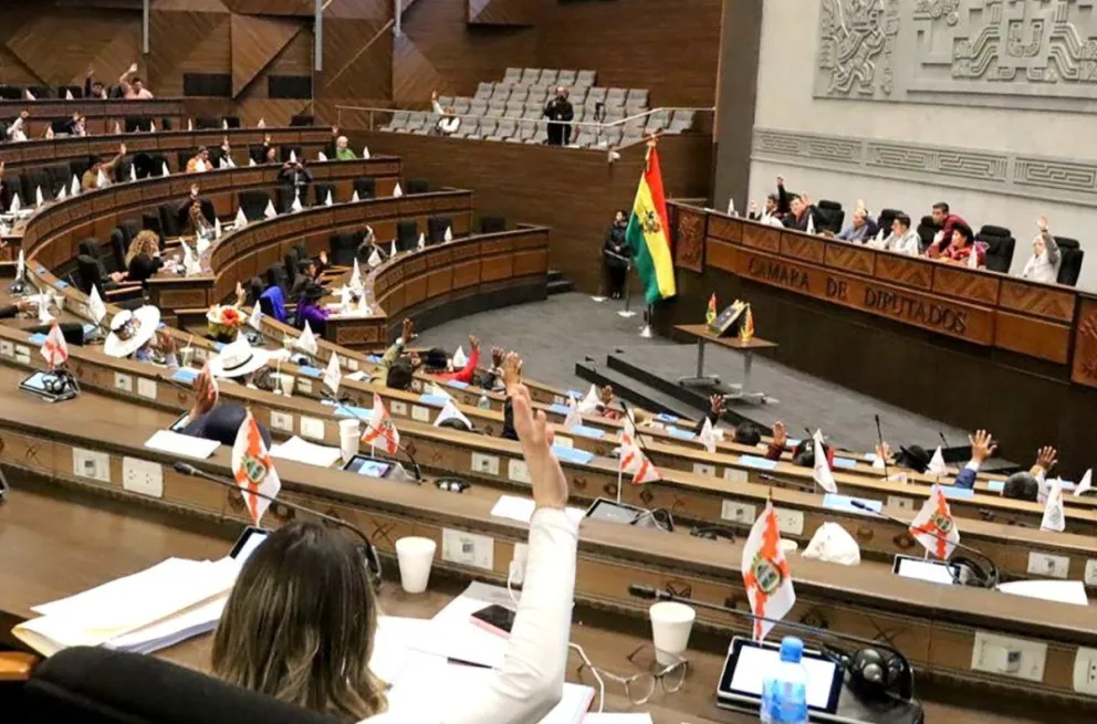 Una sesión anterior de la Cámara de Diputados. Foto: ABI