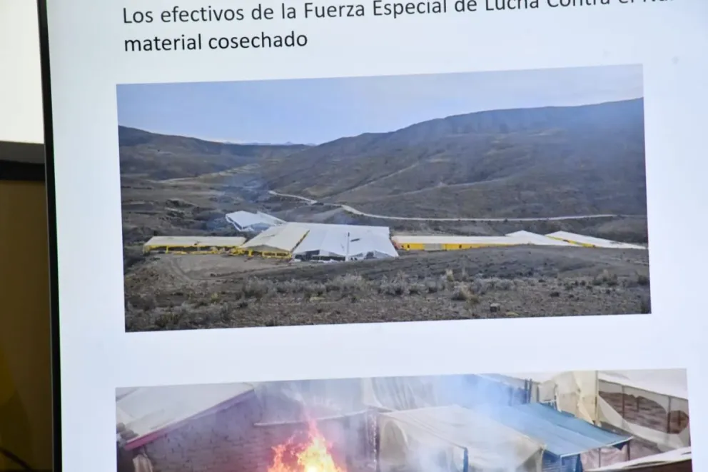 Viveros de producción de marihuana en un video que difundió el Ministerio de Gobierno. Foto: APG