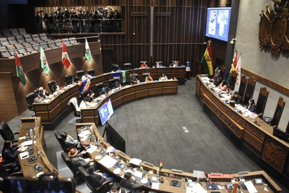 Cámara de Senadores. Foto: ABI