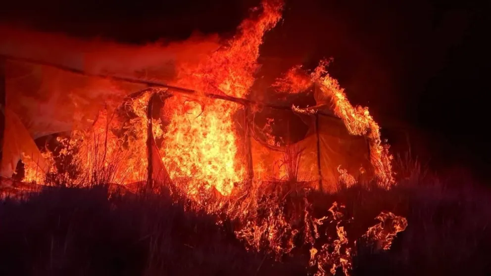 Quema de la marihuana hallada en el municipio de Chayanta. Foto: Fiscalía