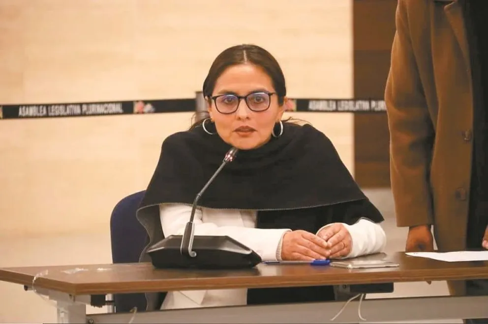 La exvocal del TDJ La Paz, Claudia Castro, durante su exposición en la Asamblea Legislativa Plurinacional. Foto: Cámara de Senadores
