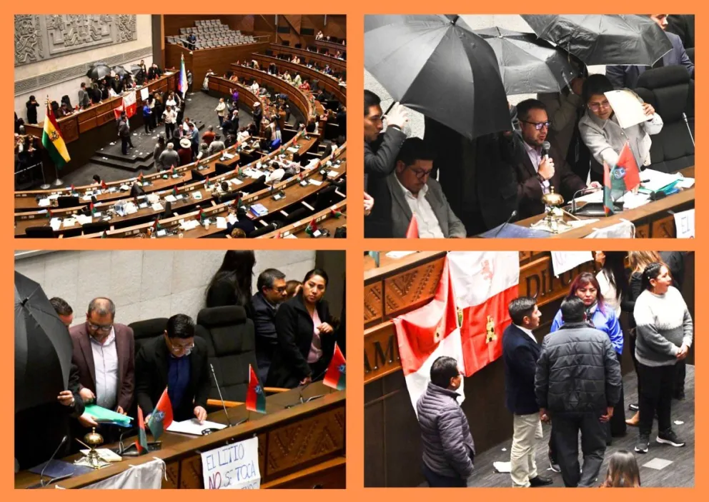 Incidencias de la sesión del jueves en el hemiciclo de Diputados. Foto: APG