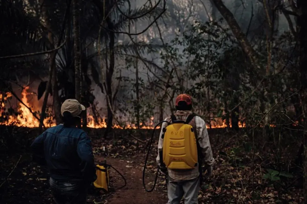 Incendios forestales. Foto; Gobernación de Santa Cruz