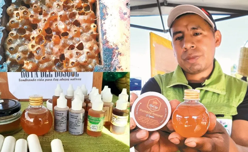 El producto obtenido de las abejas en Yungas y sus derivados. Foto: Mirna Echave / Ruta del Bosque