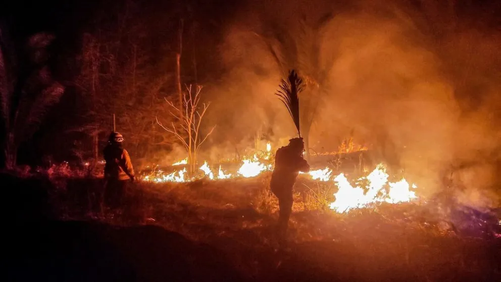 Bomberos intentan sofocar un incendio forestal desatado en años anteriores. foto: ABI