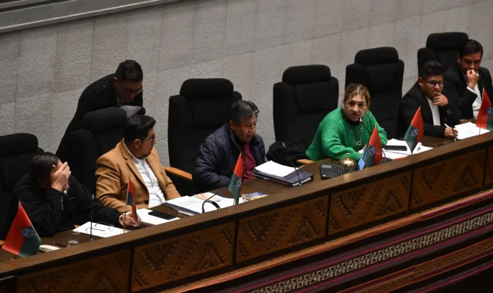 Una sesión pasada de la ALP, liderada por David Choquehuanca. Foto: APG