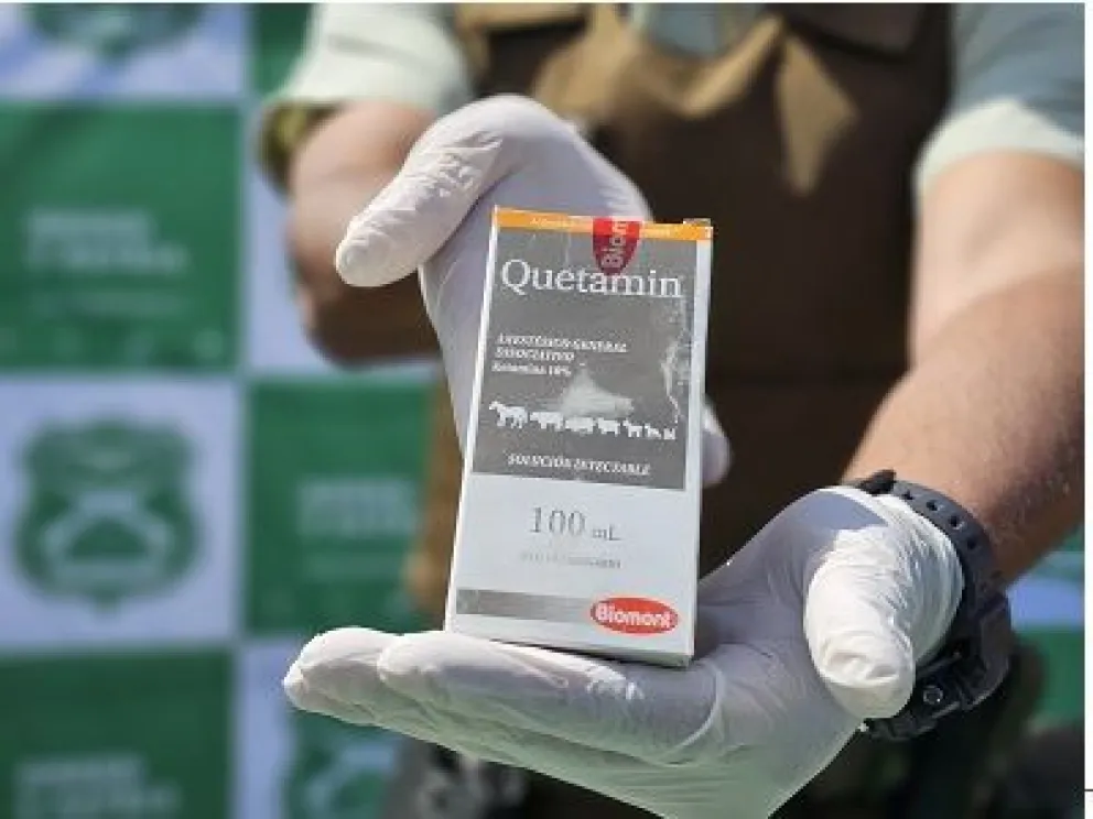  Ketamina que ingresa a Chile, según la Fiscalía chilena, proveniente de Bolivia y Perú. Foto: Fiscalía de Chile.