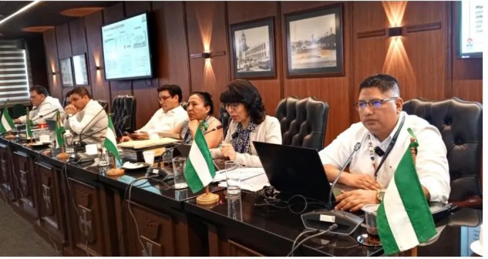 sesión ordinaria de la Comisión de Desarrollo Autonómico de la Asamblea Legislativa Departamental de Santa Cruz. FOTO: INE