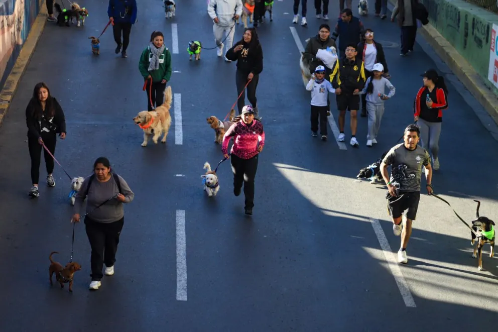 La carrera que impulsó a la gente a correr junto a sus canes. Foto: EFE