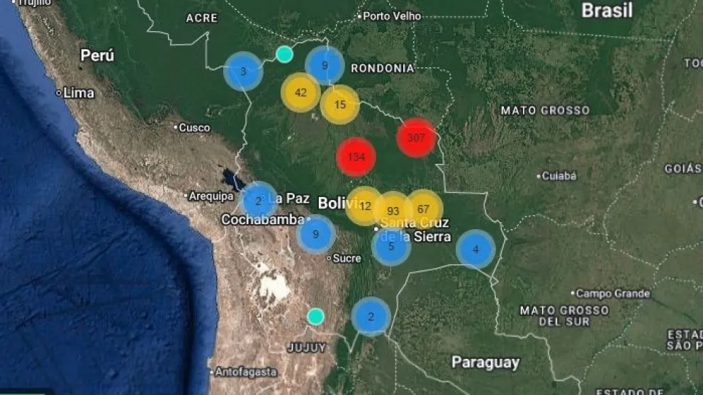 Imagen del Sistema de Información y Monitoreo de Bosques. 