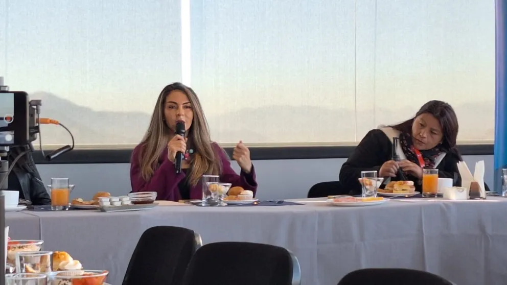 Mariana Prado durante la exposición de su programa económico, este martes. Foto: Visión 360