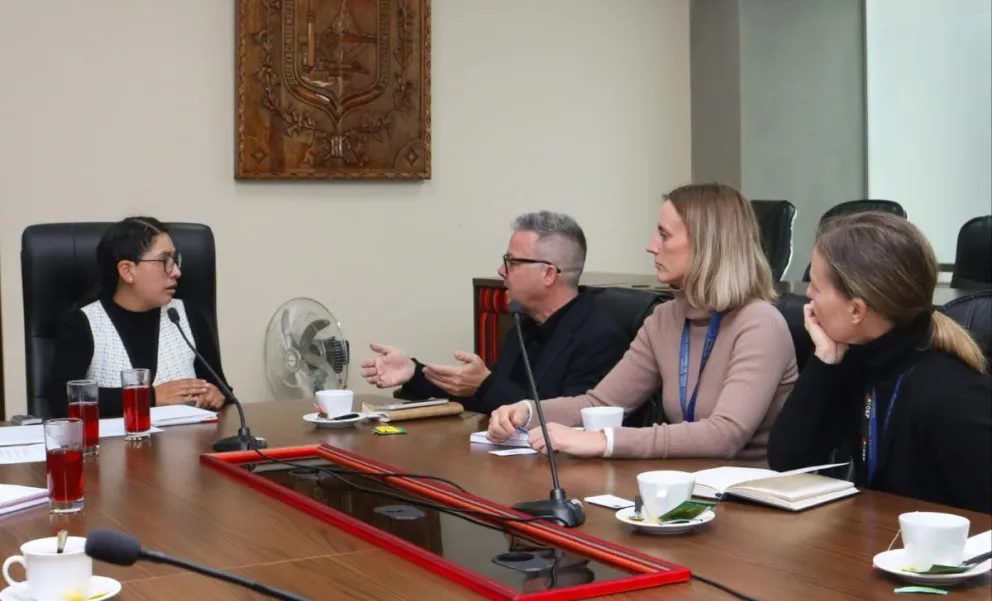 Copa, en la reunión que llevó adelante con los representantes de la misión de la UE. Foto: GAMEA