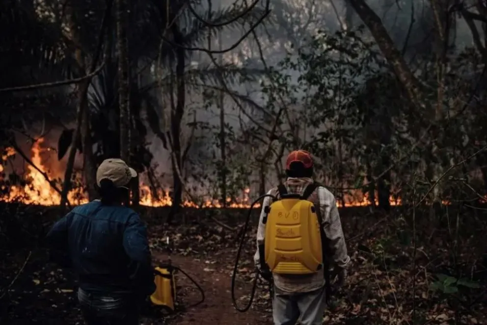 Un incendio forestal en una imagen de archivo. Foto: Gobernación de Santa Cruz