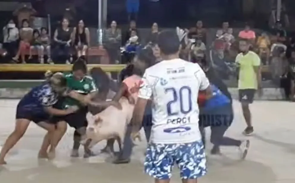 Captura de video donde se ve a las personas "jugando" con el cerdo.