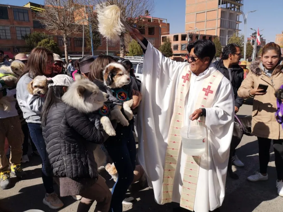 Vecinos de El Alto hacen bendecir a sus mascotas en ceremonia especial. Foto: Prensa Alcaldía El Alto