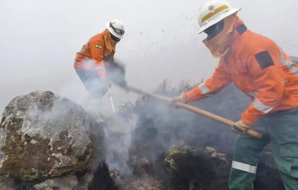 Bomberos forestales en un incendio. Foto: Viceministerio de Defensa Civil