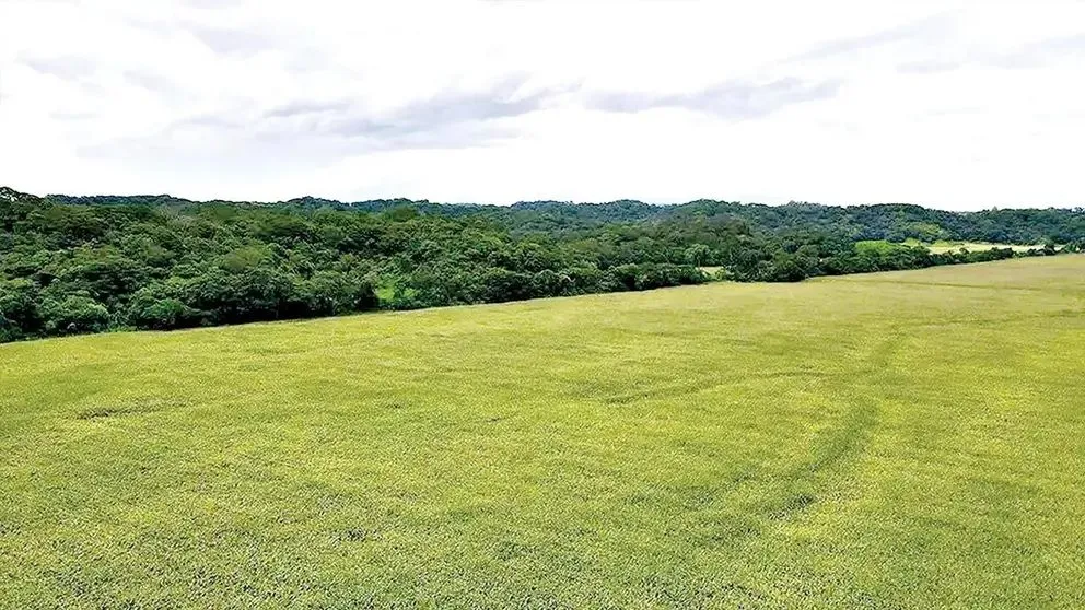 El segundo hijo de Arce cuenta con alerta migratoria. Foto: Red Connectas
