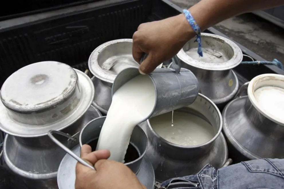 En los últimos años la producción de leche sufrió una caída de alrededor del 30%. Foto: Captura de video