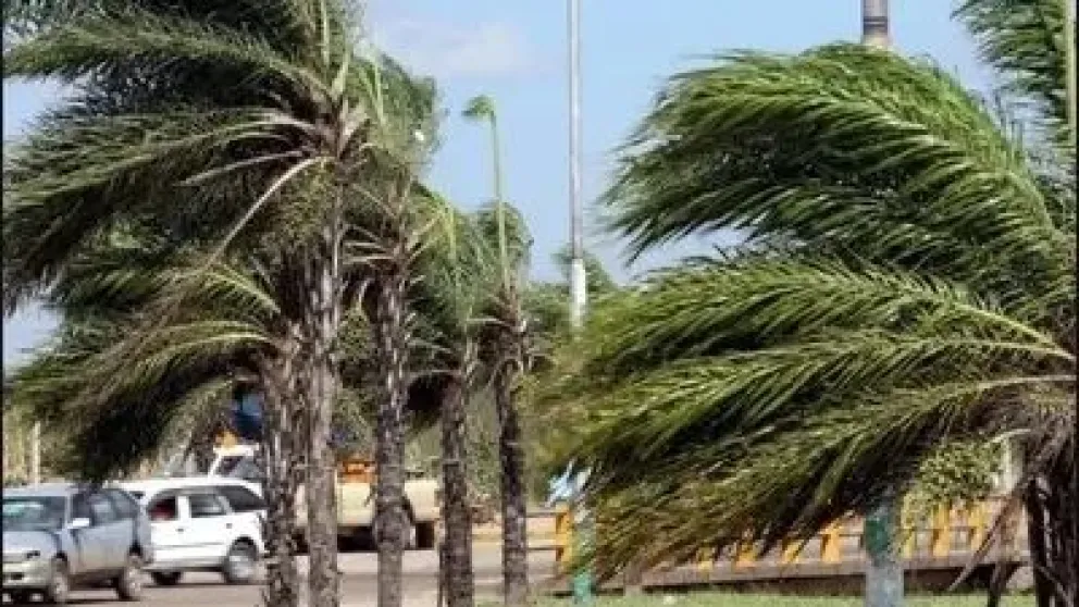 Vientos fuertes en Santa Cruz. Foto: Red Uno