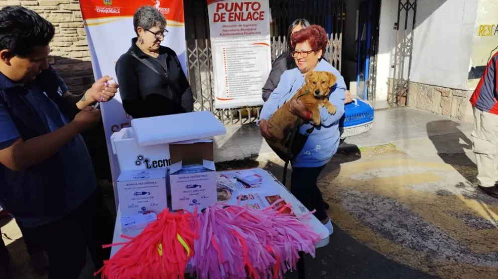 Una mujer hace vacunar a su mascota en la ciudad de Sucre. Foto: Correo del Sur