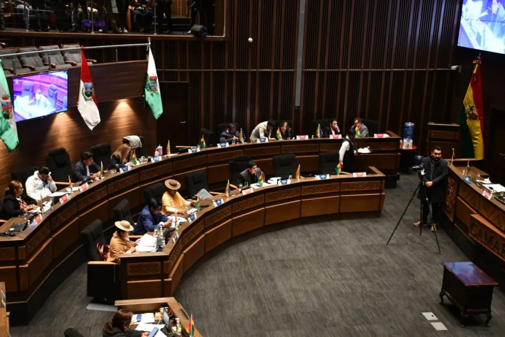 Una sesión de la Cámara de Senadores en una imagen de archivo. Foto: APG