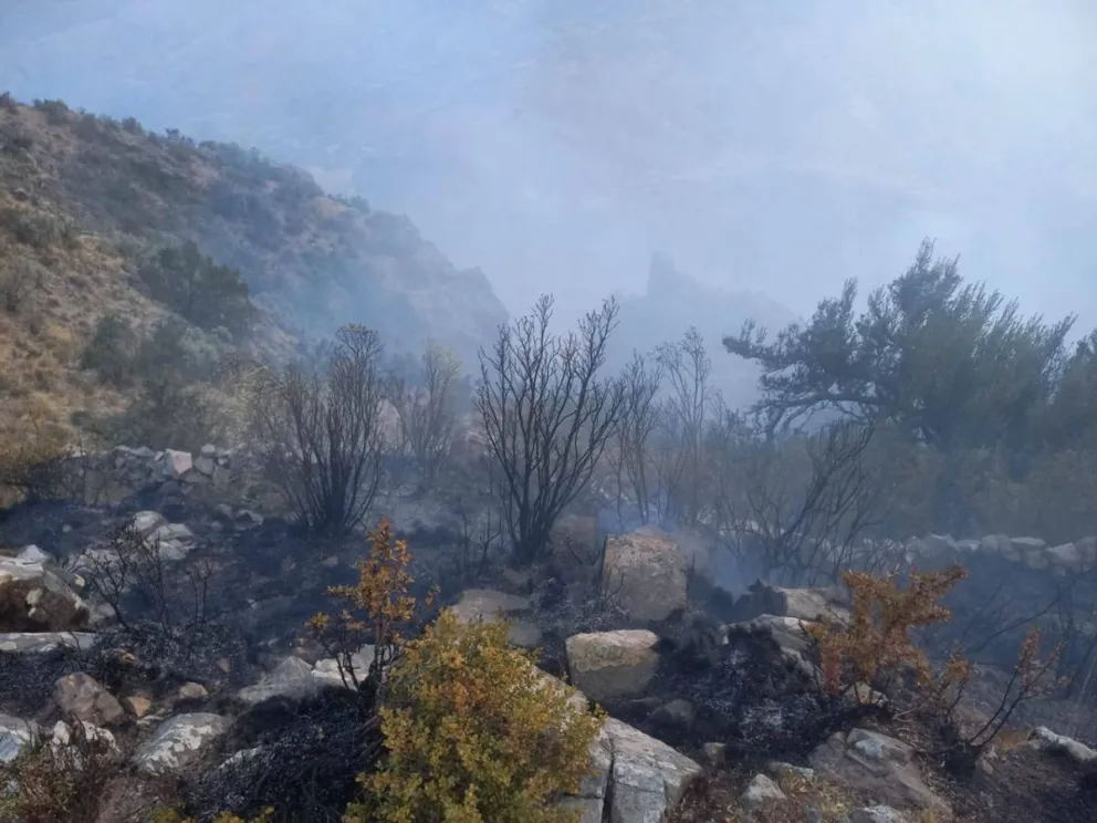 Los daños causados por el fuego en la comunidad de Mojon Kasa. Foto: ABI