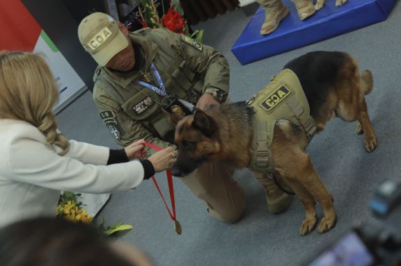 Reconocen a canes detectores de divisas. Fotos: APG 