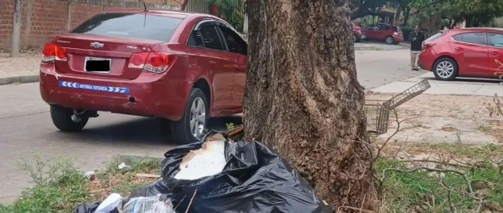 Los restos fueron hallados cerca de un árbol en Santa Cruz. Foto: Unitel