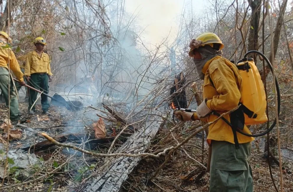 Bomberos luchan contra los incendios. Foto: ABI