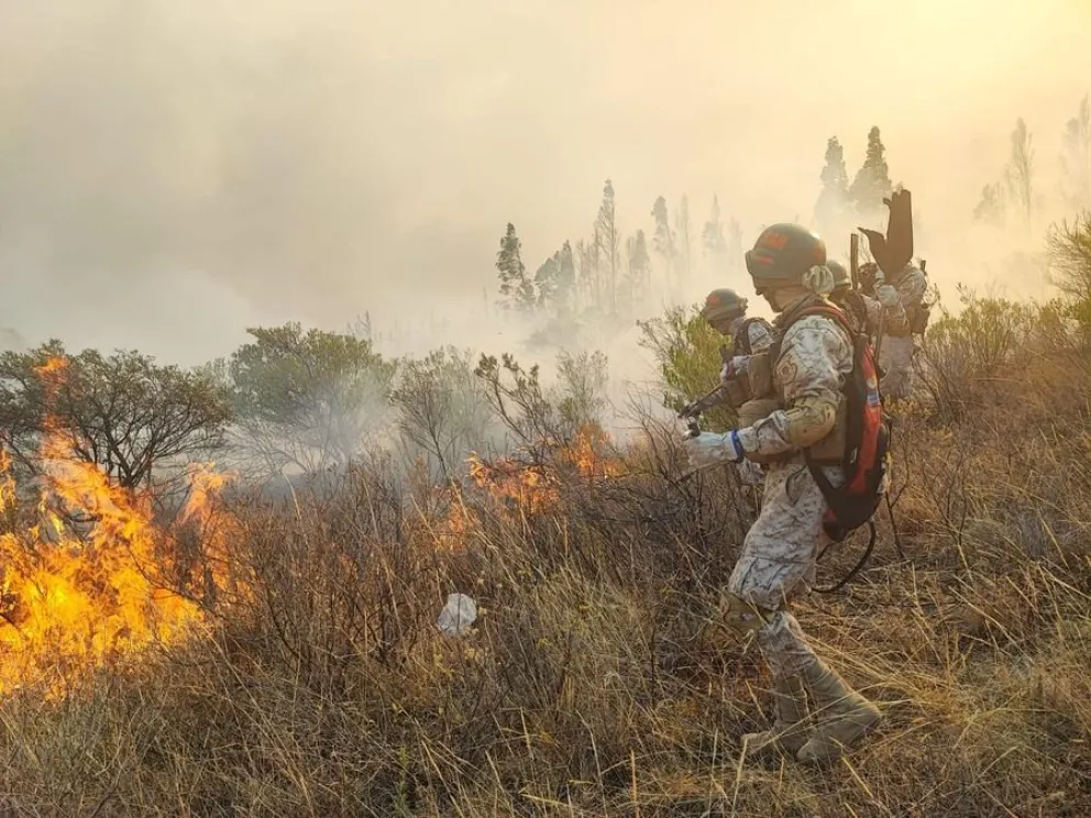 Bomberos forestales apagan un incendio (imagen referencial). Foto: ABI 