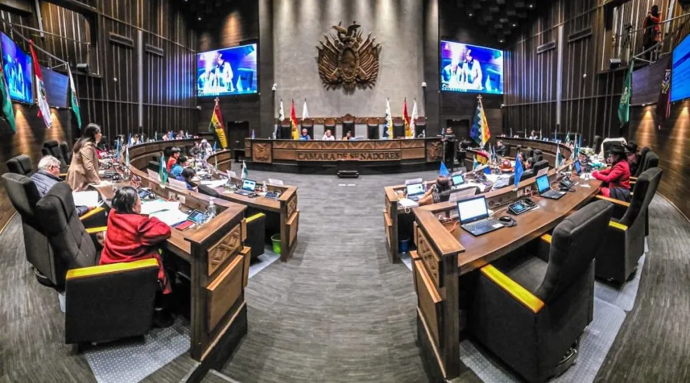 De acuerdo con el senador Rejas, el proyecto normativo no fue consensuado al interior del MAS. Foto: Archivo / Senado Bolivia 