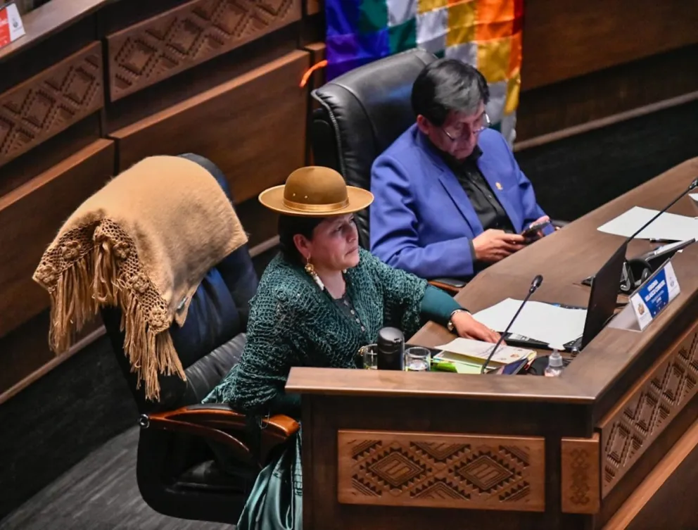 La senadora del MAS Virginia Velasco en una de las sesiones del Senado. Foto: ABI / Archivo