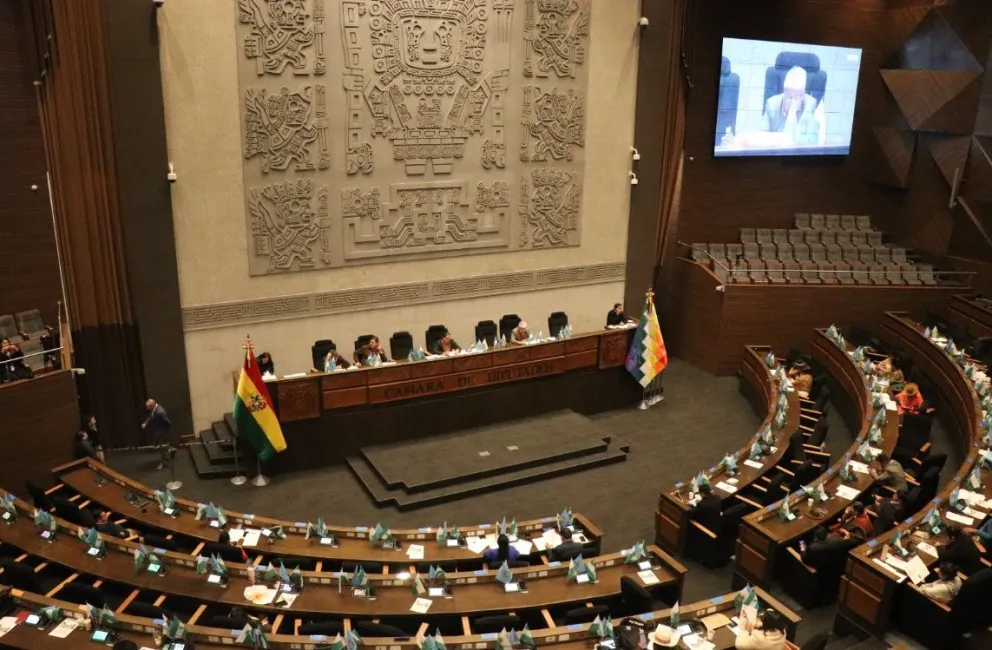 La sesión de la Cámara de Diputados sancionó la ley que elimina toda excepción para el matrimonio y la unión libre con menores de 18 años. Foto: Prensa Diputados