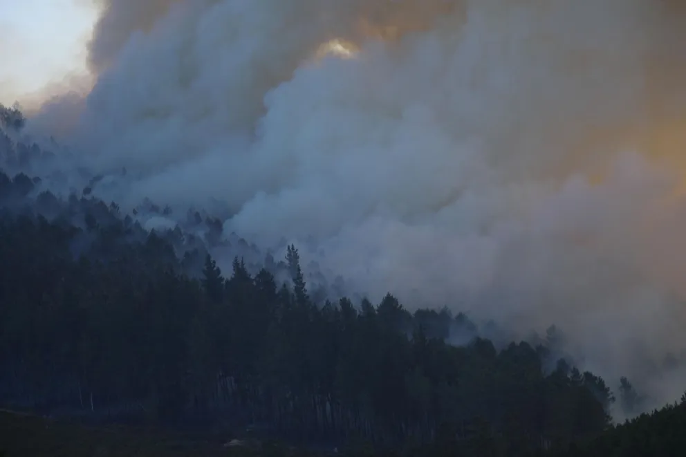 Columna de humo del incendio de Pobra de Brollón-Quiroga, en Galicia, este mes de agosto. Foto: EFE