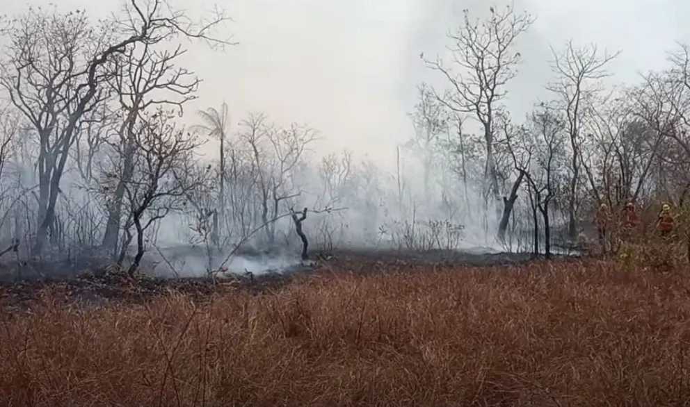 Bomberos apagan un incendio en Santa Cruz. Foto: Captura de video