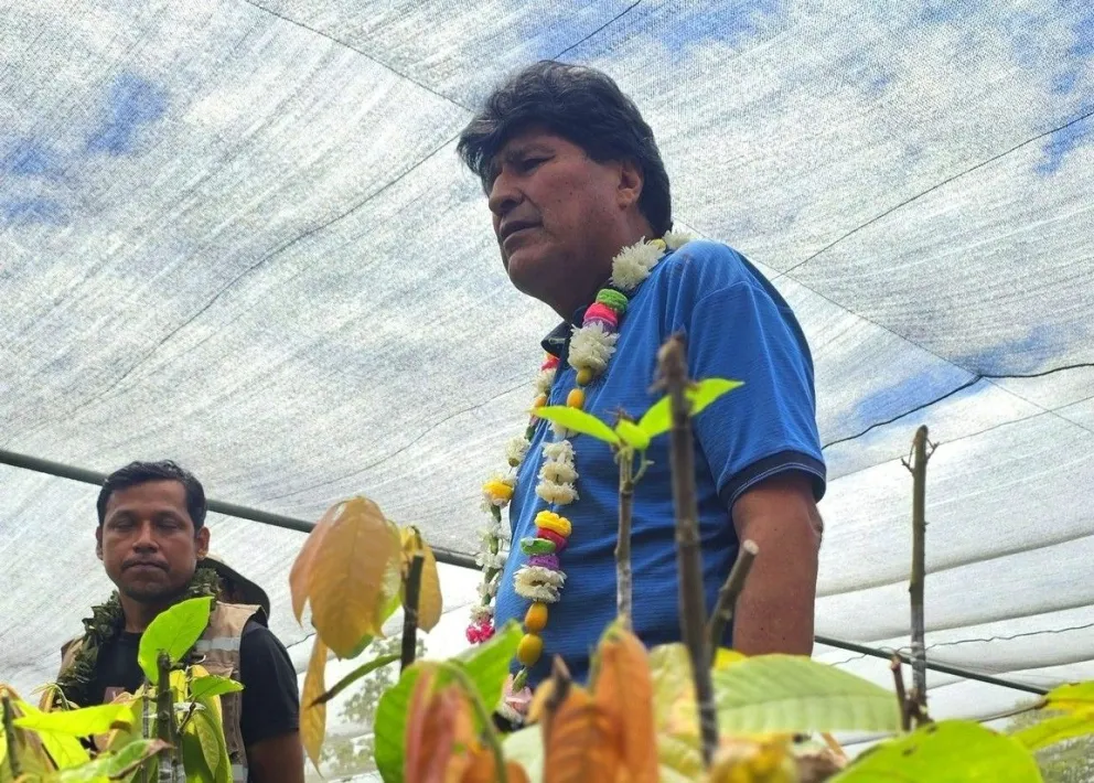 Morales, en una visita a un vivero municipal de Shinahota, Cochabamba. Foto: RRSS del mandatario